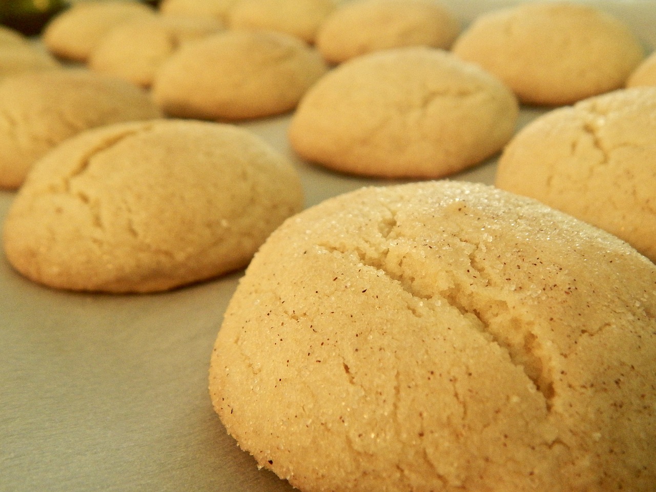 Snickerdoodle cookies